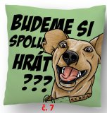 č.7