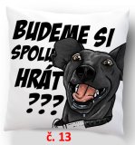 č.13