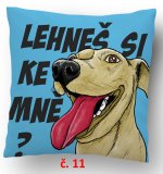 č.11