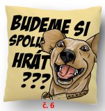 č.6