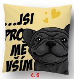 č.6