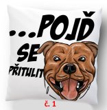 č.1