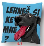 č.7