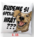 č.15